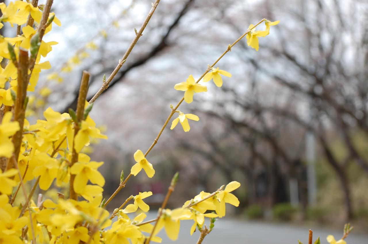 Hotel Kunihiro Yashiki Nasu Exteriér fotografie